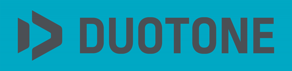 Duotone Logo gray on turqouise